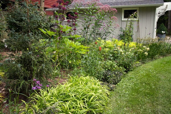 THE UPS AND DOWNS OF THIS YEAR'S GARDEN | The Impatient Gardener