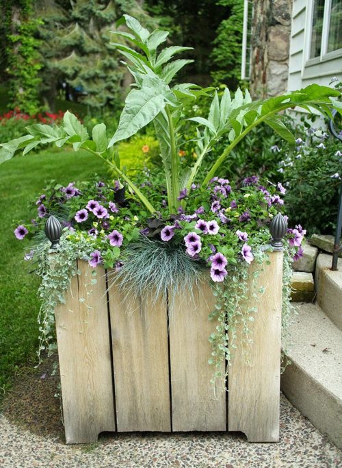 5 Tips for Beautiful Large Container Gardens