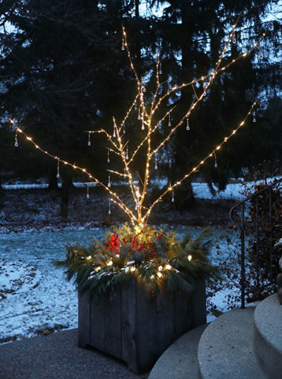 The winter light display (aka containers at night) | The Impatient Gardener