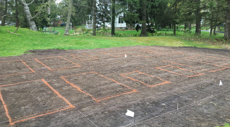 laying out a vegetable garden