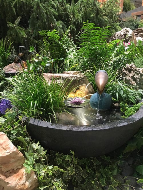 Small-space water gardening for big impact | The Impatient Gardener