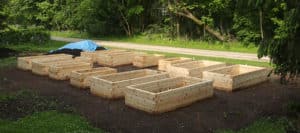 raised beds