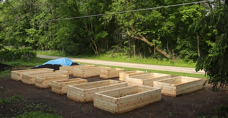Raised bed garden construction part 2: From the ground up