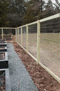 Fruit beds in vegetable garden