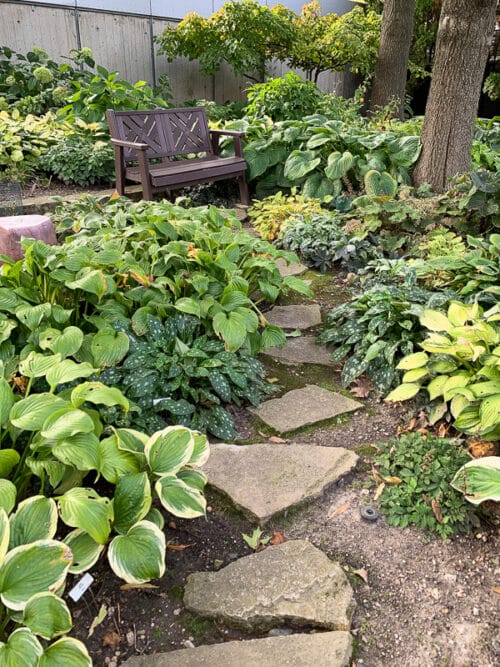 A test garden that truly puts plants to the test | The Impatient Gardener