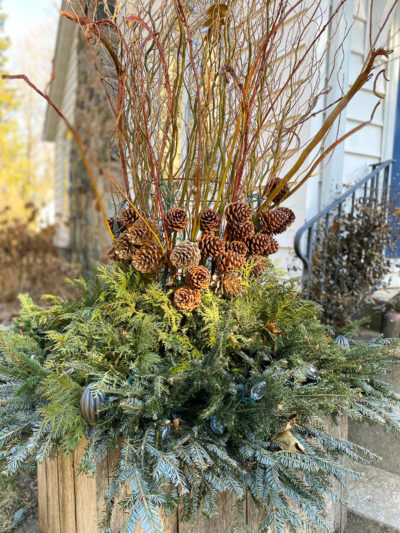 Winter containers both extravagant and simple | The Impatient Gardener