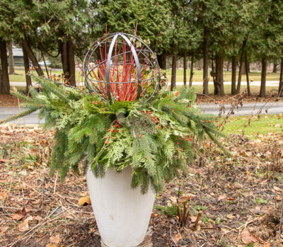 Winter containers both extravagant and simple | The Impatient Gardener