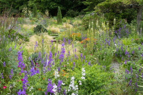 What garden projects will 2020 bring? | The Impatient Gardener